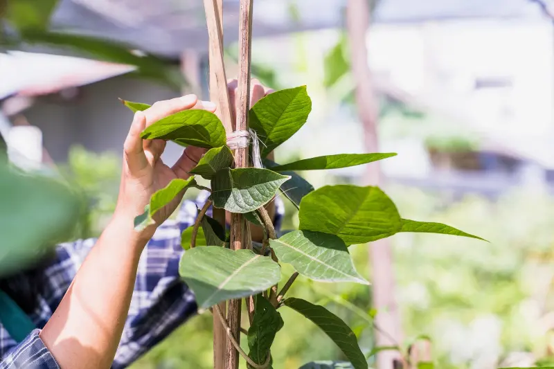 Leaf Protection Systems Help Reduce Gutter Maintenance